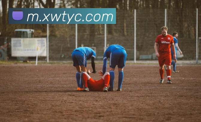 App Interface Preview