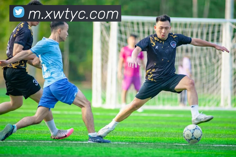 太阳城网站APP 封面图